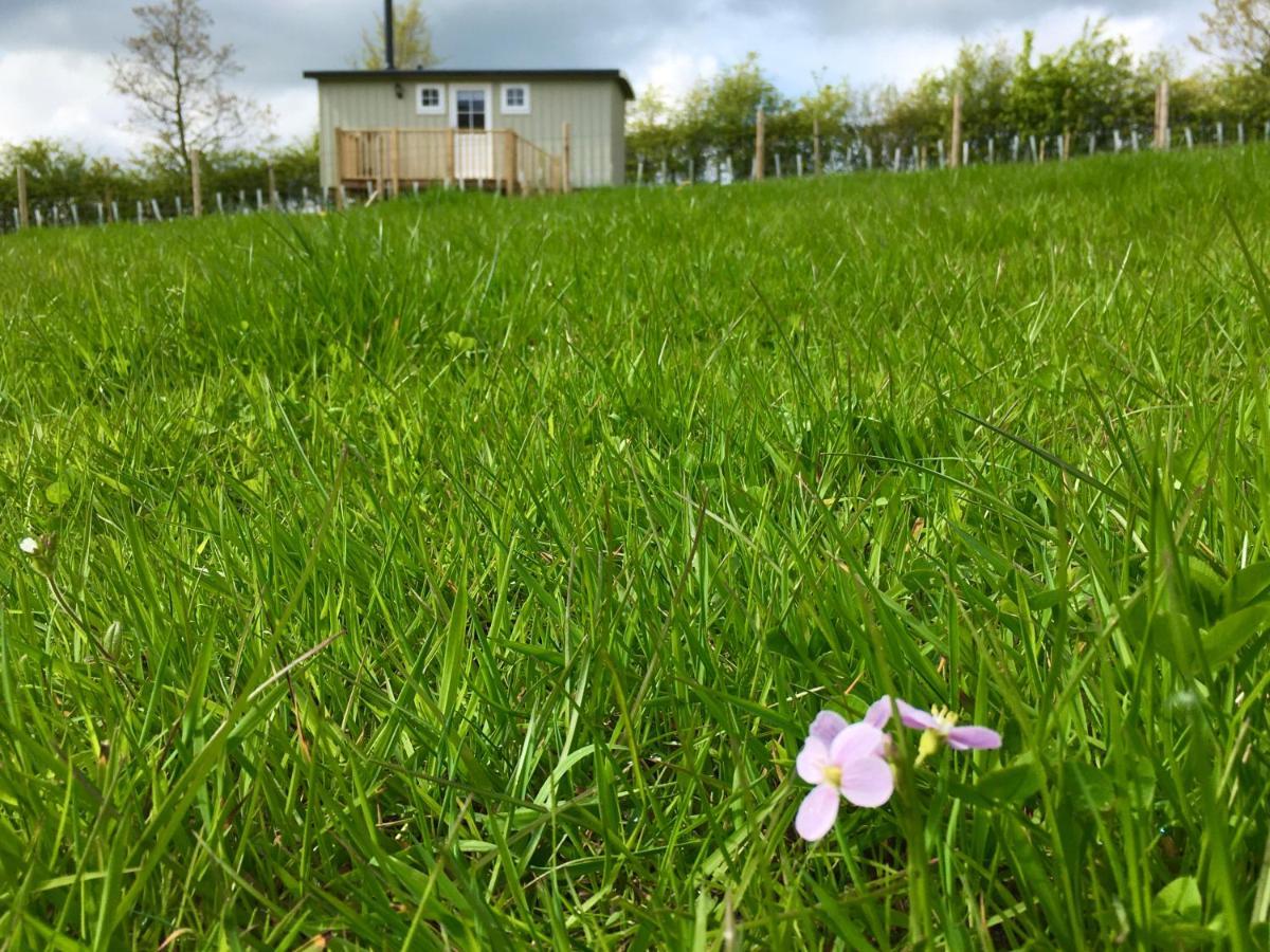 Rosemary Shepherds Hut, Clay Bank Huts Ingleby Greenhow Exteriér fotografie